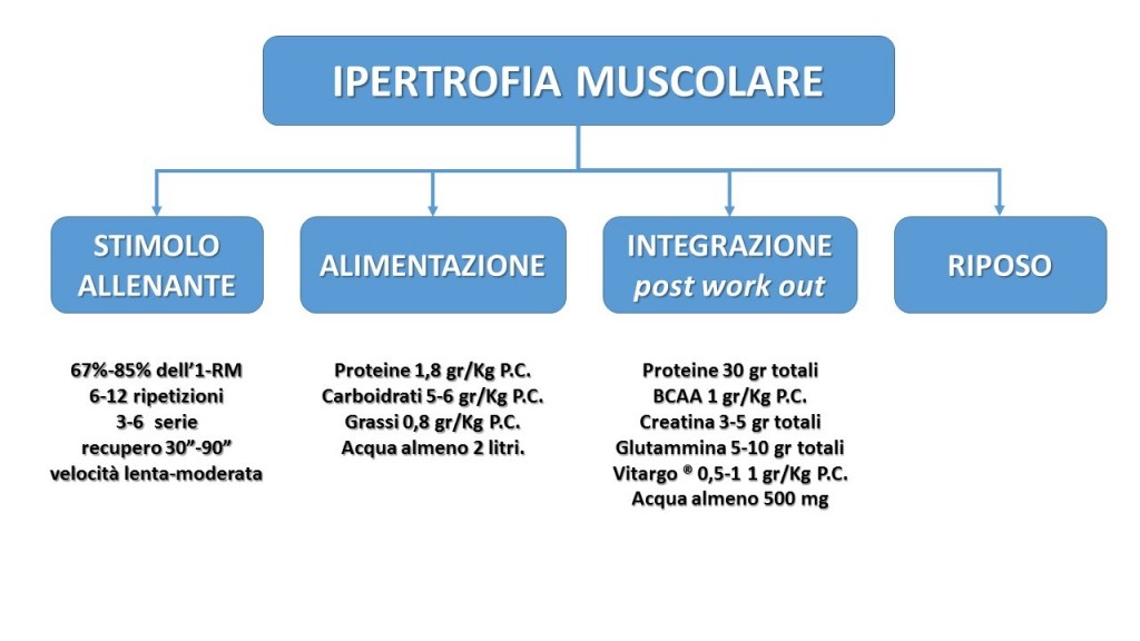 conclusioni