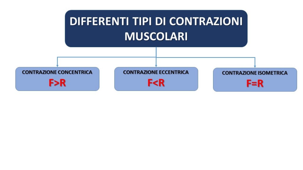 contrazioni muscolari