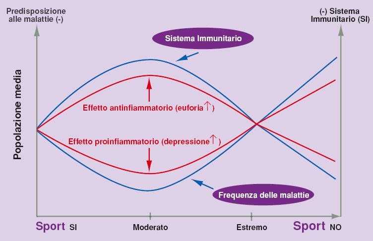 popolazione