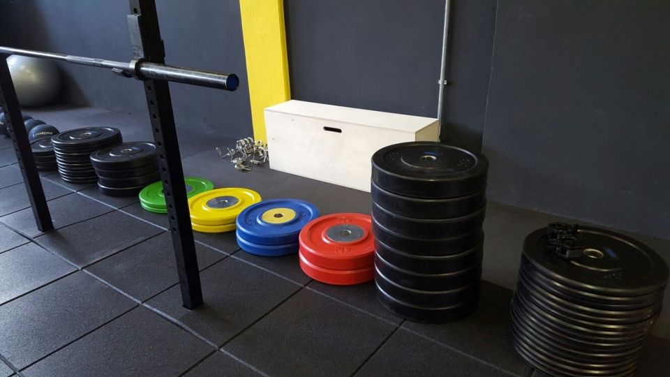 pavimenti per palestra